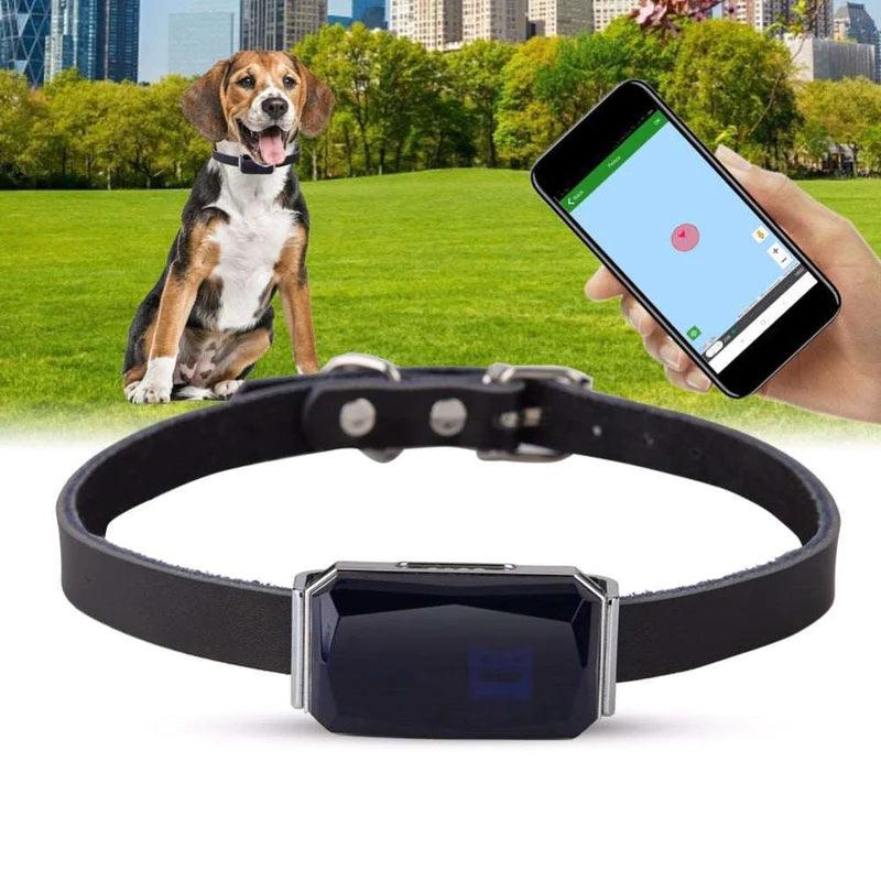 Coleira para Pets com Rastreador GPS - À prova d'água - LOJA DO FROIFO