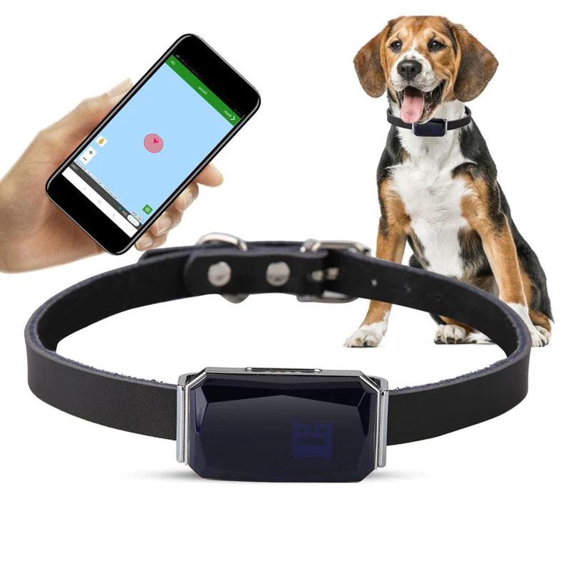 Coleira para Pets com Rastreador GPS - À prova d'água - LOJA DO FROIFO