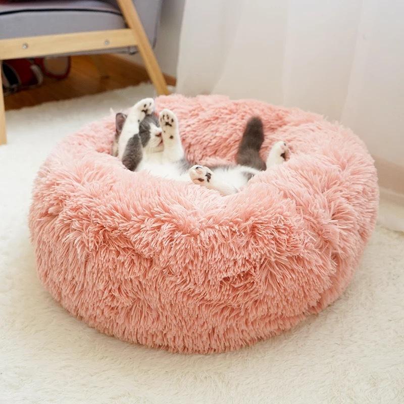 Cama Confortável para Cães e Gatos - LOJA DO FROIFO