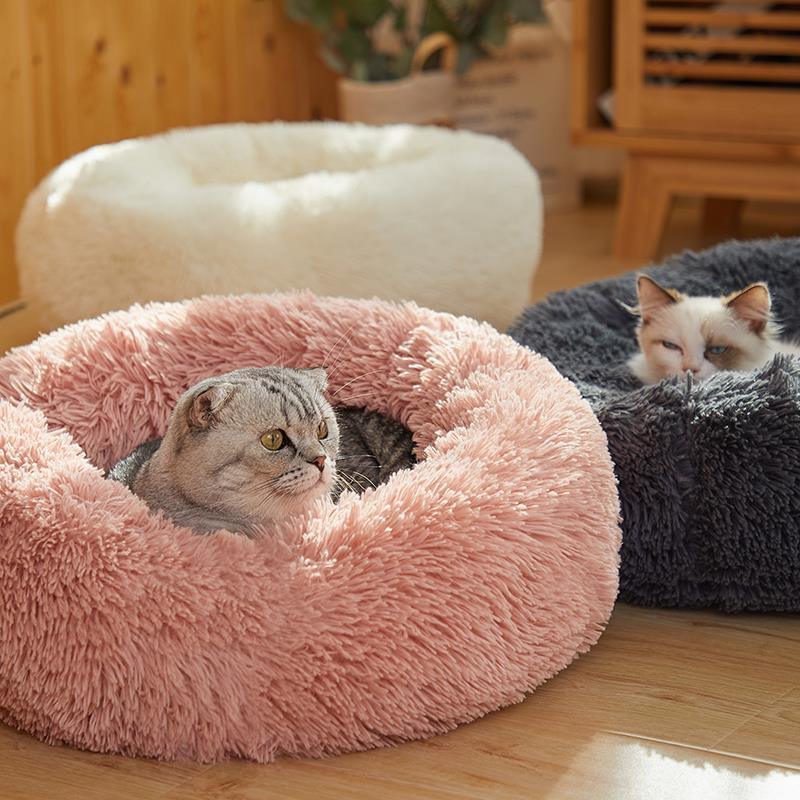 Cama Confortável para Cães e Gatos - LOJA DO FROIFO