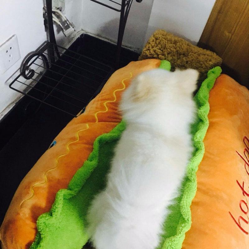 Cama para Pets - Hot Dog - LOJA DO FROIFO