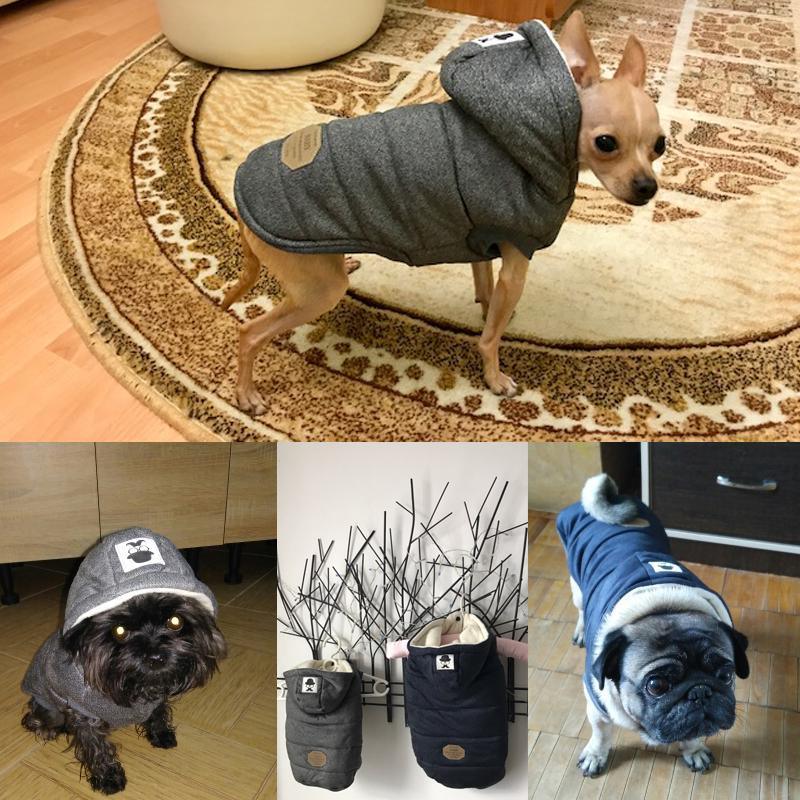 Colete de Inverno para Cachorros | Gentleman - LOJA DO FROIFO